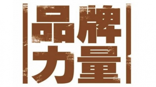 数字大潮下的营销智慧：摆脱流量枷锁，构建品牌核心资产