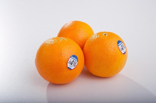 1775526899221860.jpg 2.jpg