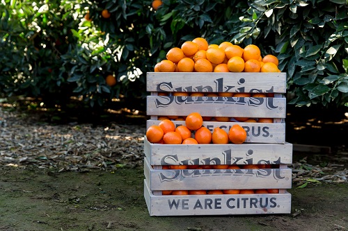 1775526903958541.jpg 3.jpg